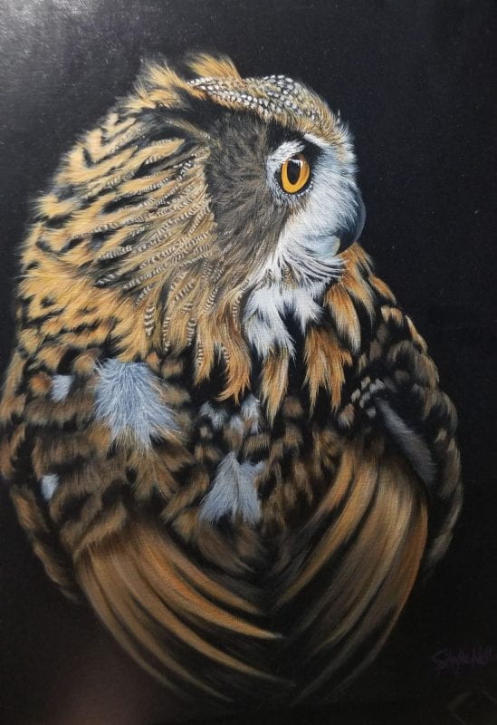 An owl with yellow-brown feathers and yellow eyes, turning its head to the side on a black background.