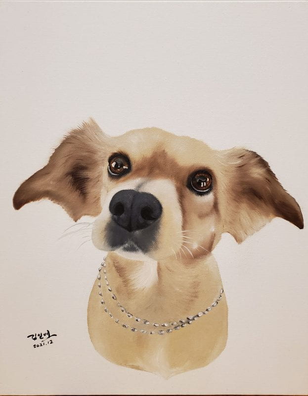 A portrait of a brown, mix-breed dog wearing a necklace.