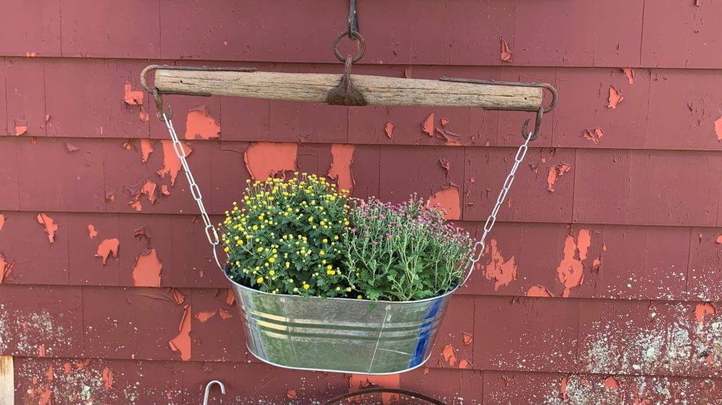 An upcycled whipple tree branch with a rusted ring a top and rusted hooks on both sides hold a planter and are placed against the backdrop of a barn.