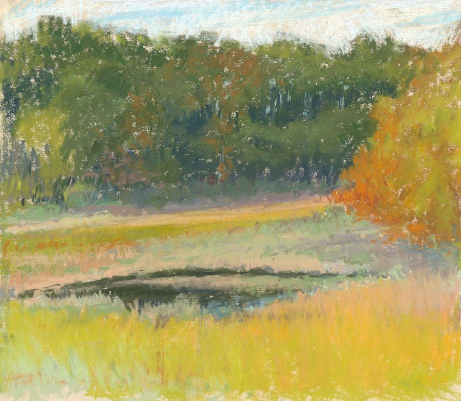 A yellow wetland with a small black pond, a row of green trees, and a orange clump of bushes.