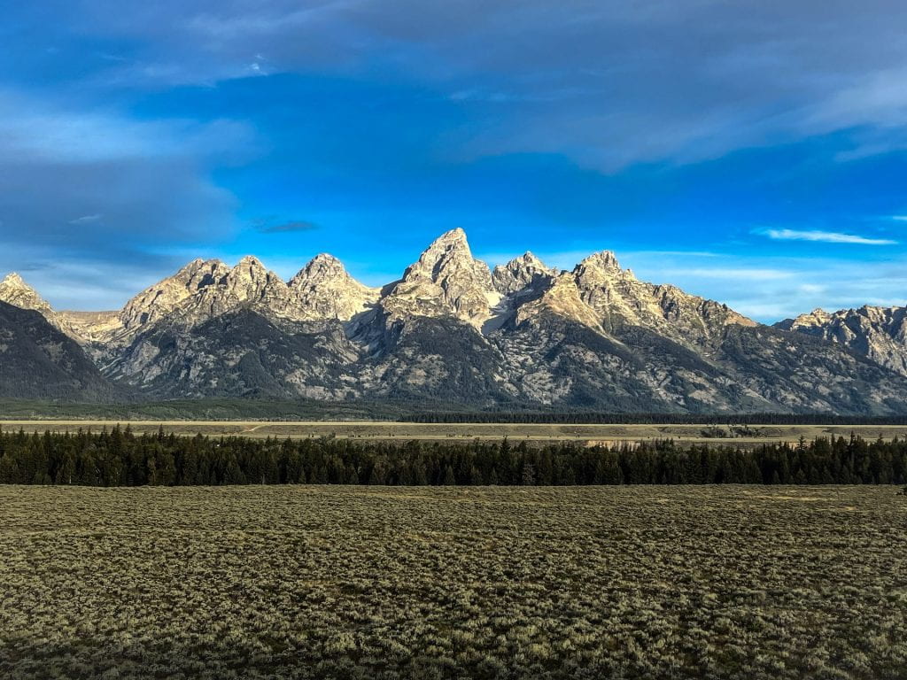 The Grand Teton peaks illuminated by soft, golden sunlight, standing tall against a forest in the foreground.