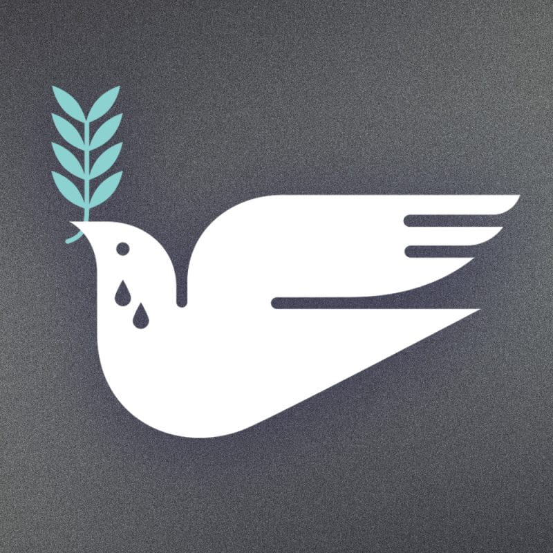 A white dove holding an olive branch with two tears below her eye.