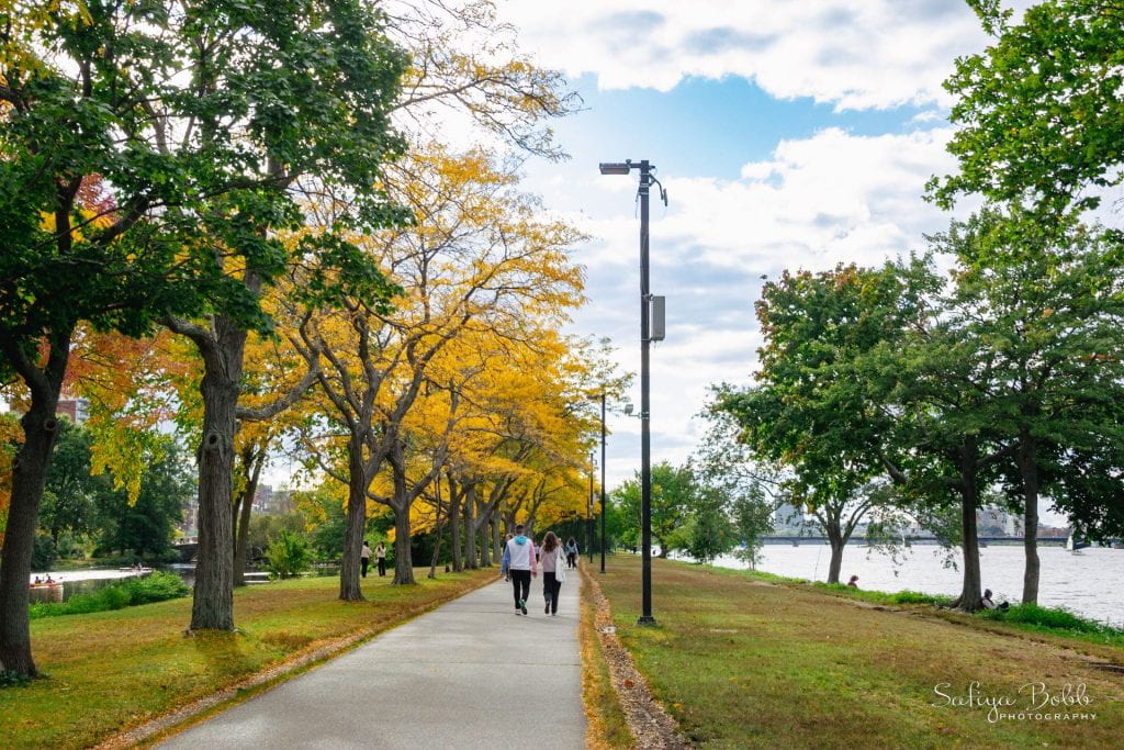 Taken in the beginning of fall on the Charles River Esplanade.