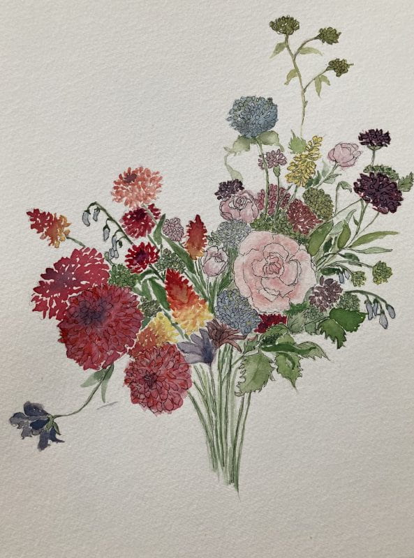 A bouqet of red, blue, and purple dahlias, pink carnations, orange-red celosia painted with watercolors and outlined in ink