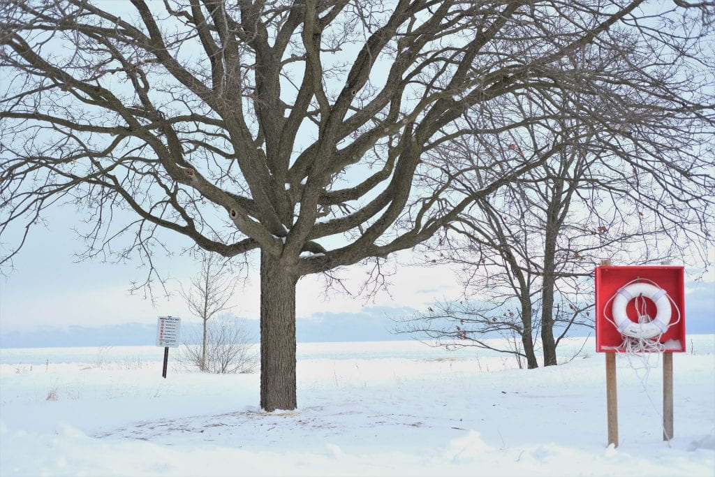 Bare tree surrounded by white snow with a red box containing a round white life preserver in the foreground and the horizon of Lake Michigan in the background.