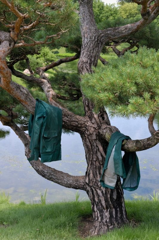 Branches and green pines of a tree curve upward and are temporary holders for two dark green garden smocks on a sunny day.