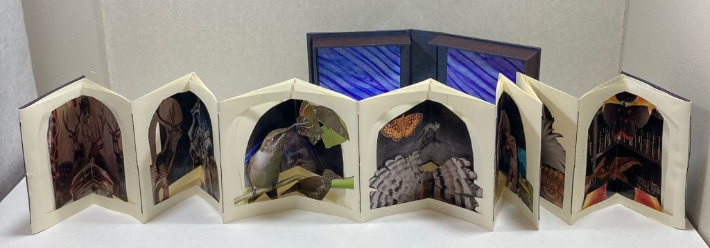 An accordion shaped book that can be displayed in a compressed star shape (carousel) or a long unfolded format. Featuring seven collaged panels of brooding, disturbing, or strange artwork incorporating animals, nature, and lab/experimentation imagery. The color palette is dark with interspersed bright color.