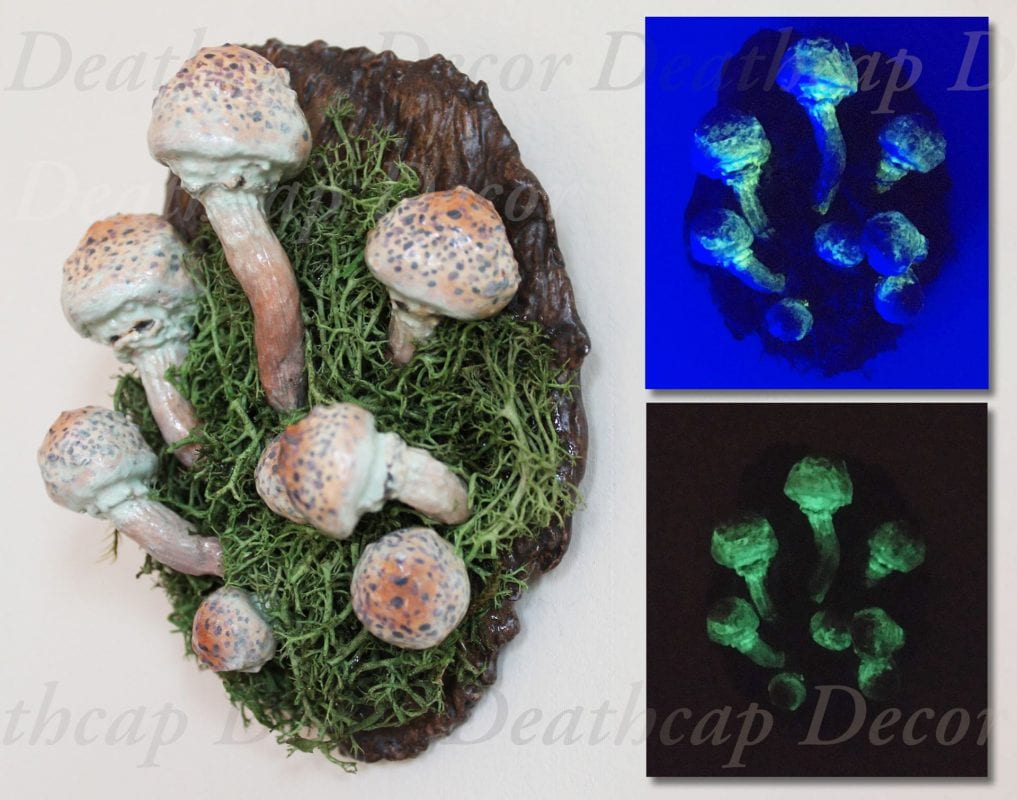 Dainty, brown-and-cream speckled sculpted mushrooms surrounded by preserved reindeer moss on a fragment of sculpted tree bark. Two smaller images to the right show how the mushrooms glow gently in the gloom and brightly in the dark.