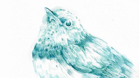 Monochromatic blue and teal paintng of a Mourning Warbler perched on a log with his beak pointed at the sky. The background is blank aside from a small blue shadow under the bird.